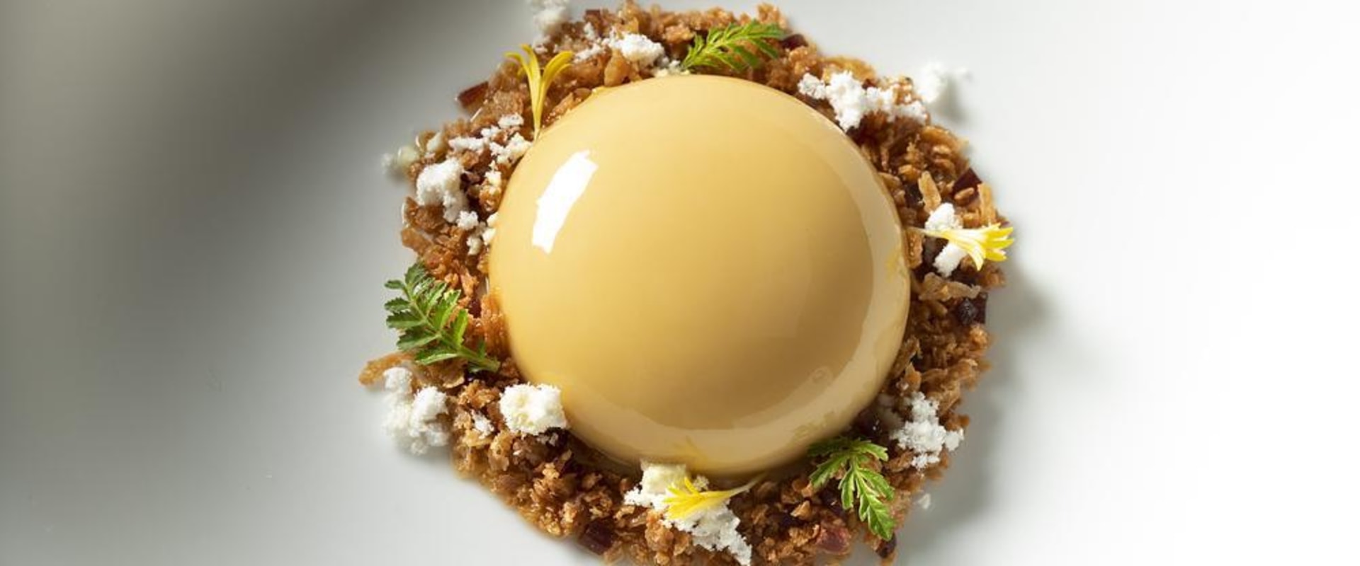 Rising Stars: Exploring the Culinary Scene in Valencia's Michelin-starred Restaurants